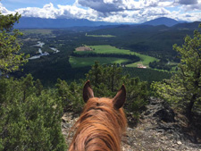 Canada-British Columbia-Cranbrook Beckley's Cattle and Guest Ranch